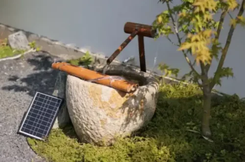 Water Features That Transform Suburban Backyards into Oases