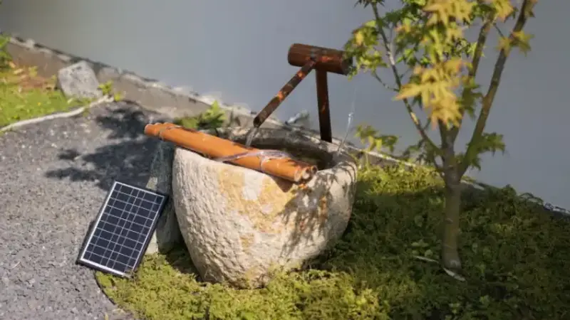 Water Features That Transform Suburban Backyards into Oases