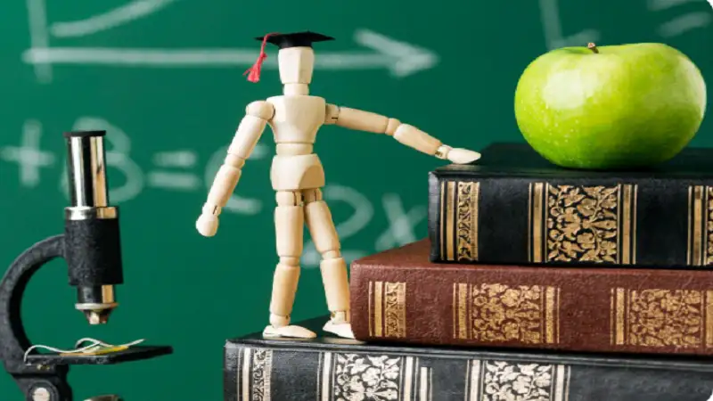 Schoology Alfa – Complete & Easy Guide for Students, Teachers, and Parents